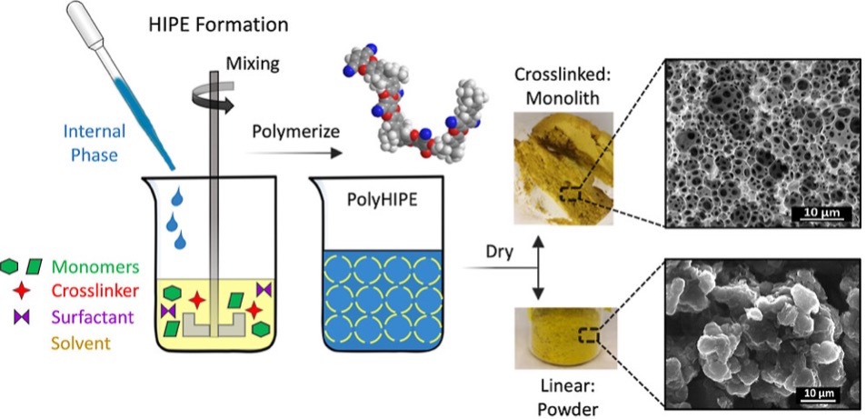 Emulsion-templated Monoliths Based on PIM-1 Monomers: Hierarchical Porosity and Dye Adsorption