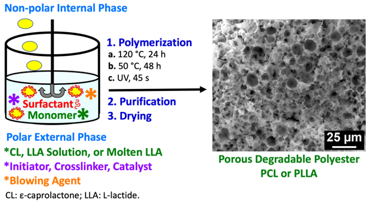 Porous Degradable Polyesters from Ring-Opening Polymerization within Oil-in-Oil Emulsions: Initiation, Catalysis, and Foaming