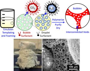Simultaneous Emulsion Templating and Foaming of a Renewable Resource Monomer: Urethanes, Ureas, and Amides