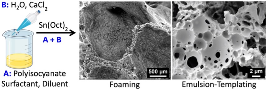Water-in-oil Emulsion Templating of Isocyanates- End-capping, Foaming, Porous Structures and Cell Growth